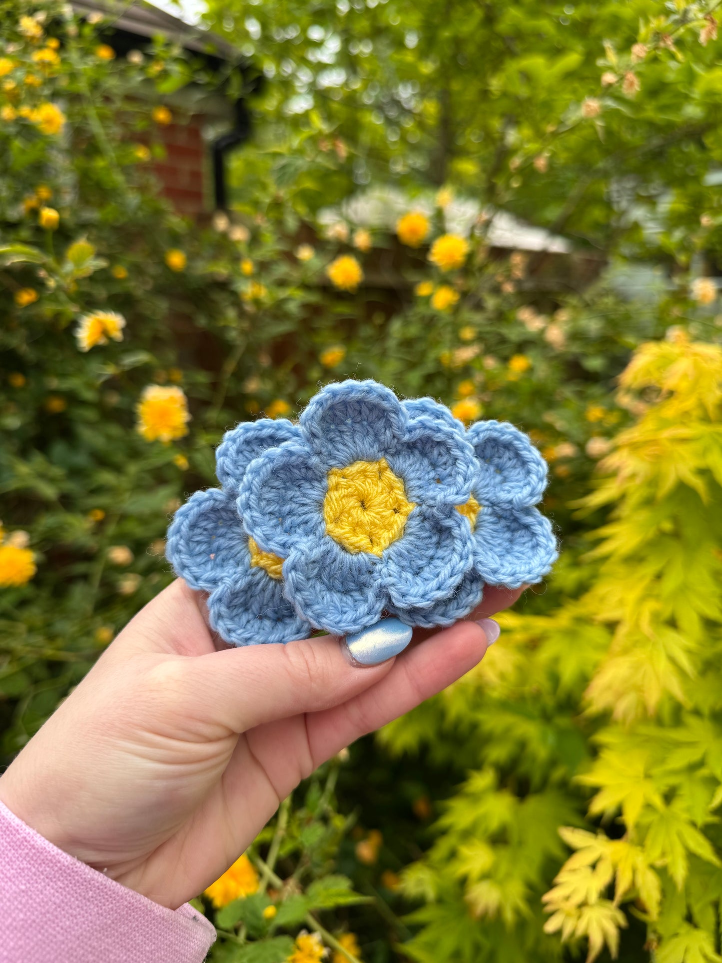 Forget-Me-Not Flower Set